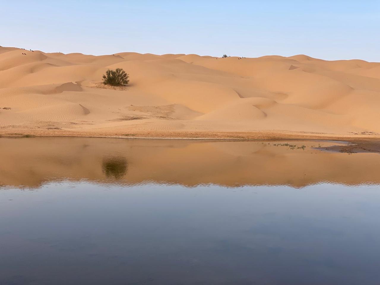 TSM WAY Sahara